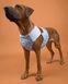 Охлаждающий жилет для собак PAIKKA Cool Vest Snow Leo