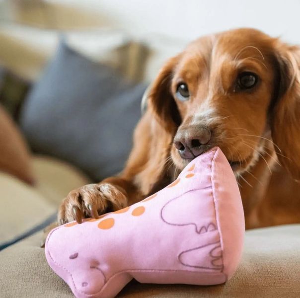 Мягкая игрушка для собак Beco Pets Малыш Динозавр Розовый 10538 фото