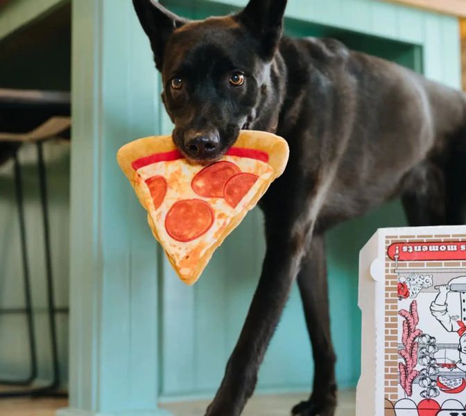 Игрушка для собак Snack Attack - Puppy-roni Pizza Pet Play 12220 фото