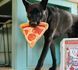Игрушка для собак Snack Attack - Puppy-roni Pizza Pet Play 12220 фото 3