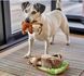 Іграшка для собак Chippy and Cheeks the Chipmunks Forest Friends Pet Play 12409 фото 3