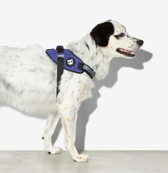 Шлея для собак Zee.Dog - Wicked FlyHarness blue 12598 фото
