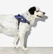 Шлея для собак Zee.Dog - Wicked FlyHarness blue 12598 фото 3