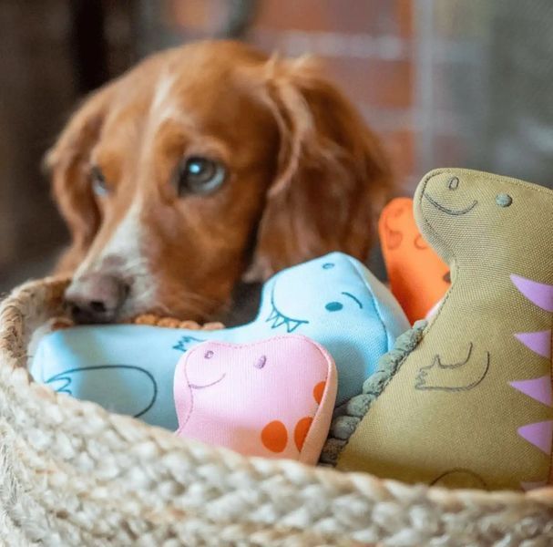 Мягкая игрушка для собак Beco Pets Т-Рекс Голубой M 10545 фото