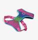 ШЛЕЯ ДЛЯ СОБАК ZEE.DOG - Melted ADJUSTABLE AIR MESH HARNESS 12001 фото 2