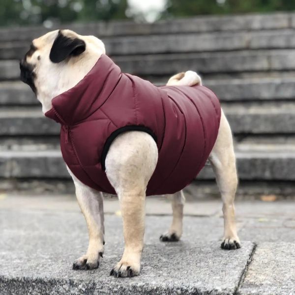 Куртка для собак Scotty Bordo - Noble pet 14363 фото