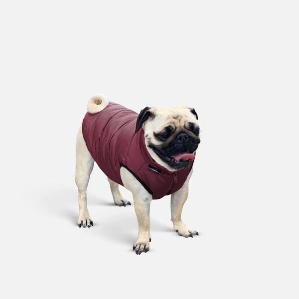 Куртка для собак Scotty Bordo - Noble pet 14363 фото