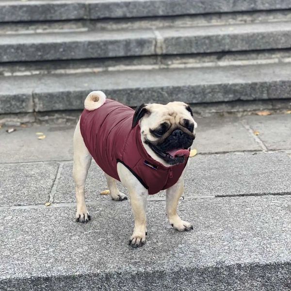 Куртка для собак Scotty Bordo - Noble pet 14363 фото