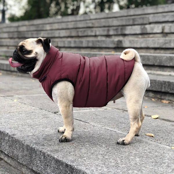 Куртка для собак Scotty Bordo - Noble pet 14363 фото