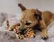 Игрушка для собак Africa Big Five - Leopard Pet Play 12428 фото 5