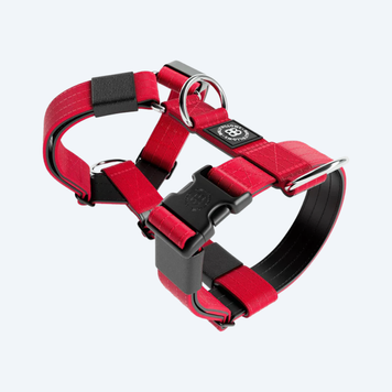 Шлейка BullyBillows TRI-Harness v2.0 Anti-Pull  8990 фото