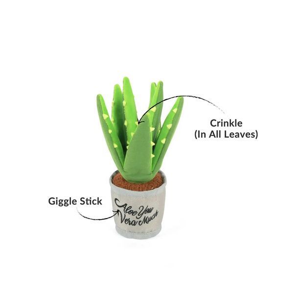 Іграшка для собак Blooming Buddies Collection - Aloe-ve You Plant Pet Play 12242 фото