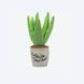 Іграшка для собак Blooming Buddies Collection - Aloe-ve You Plant Pet Play 12242 фото 1