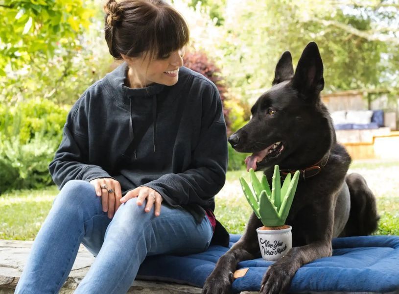 Іграшка для собак Blooming Buddies Collection - Aloe-ve You Plant Pet Play 12242 фото