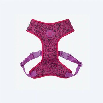 ШЛЕЯ ДЛЯ СОБАК ZEE.DOG - Brain ADJUSTABLE AIR MESH HARNESS 12005 фото