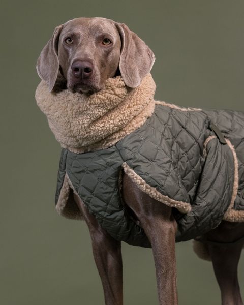 Тепла попона для собак Paikka Winter Sherpa Jacket Olive 8070 фото