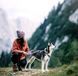 Поводок для собак Northern Lights Woolly Wolf &ndash; 150 см