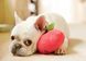 Іграшка для собак Garden Fresh Toy - Apple Pet Play 12449 фото 4