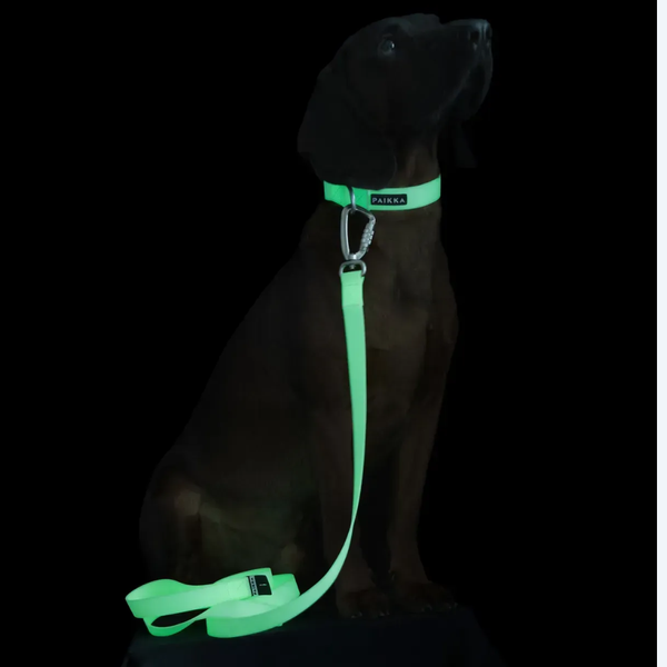 Повідець для собак Paikka Glow Leash 180 см 8472 фото