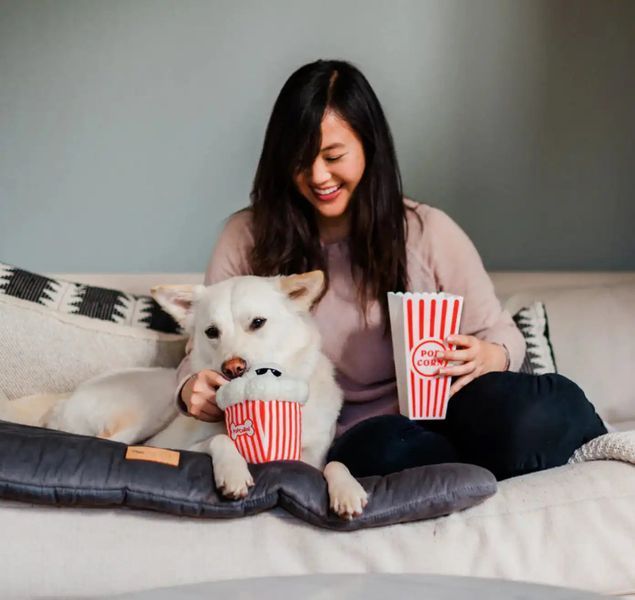 Игрушка для собак Hollywoof Cinema Collection - Poppin' Pupcorn Pet Play 12377 фото