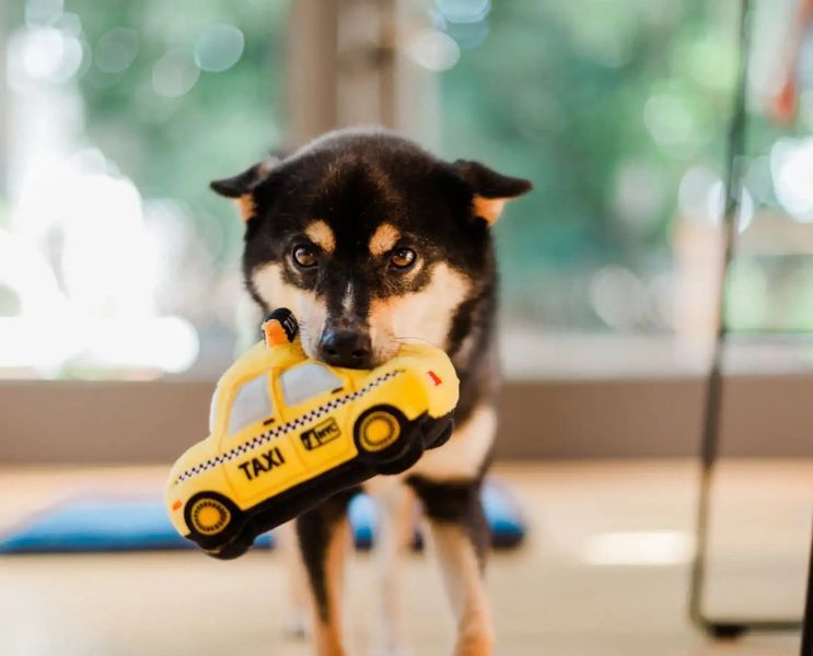 Игрушка для собак Canine Commute Collection - New Yap City Taxi Pet Play 10952 фото