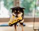 Игрушка для собак Canine Commute Collection - New Yap City Taxi Pet Play 10952 фото 3