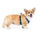 Шлея для собак Woolly Wolf Roam Harness Deep Teal