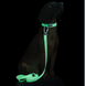 Повідець для собак Paikka Glow Leash 180 см 8472 фото 4