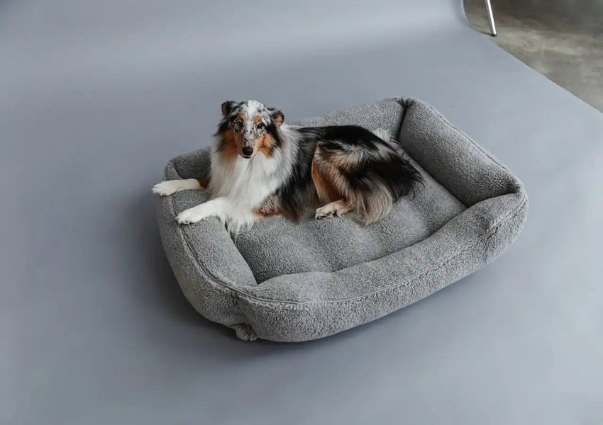 Леженка Dreamer для собак и кошек Fur Gray от Harley & Cho 13736 фото