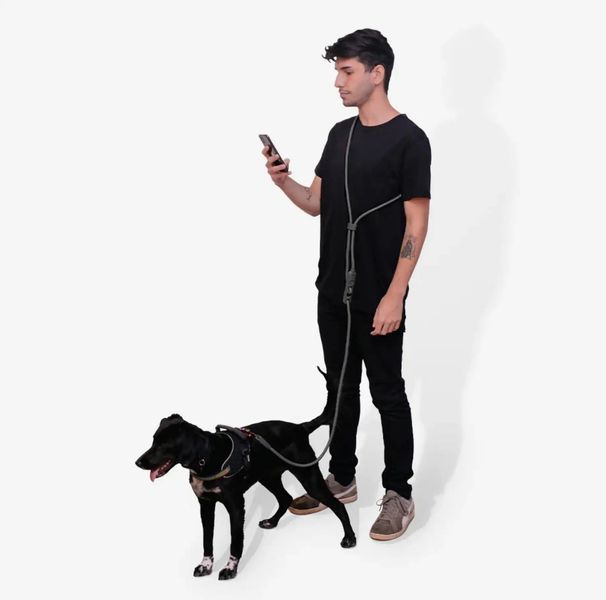 Поводок для собак Свободные Руки Zee.Dog Vanilla Hands Free