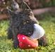 Игрушка для собак Blooming Buddies Collection - Mutt Mushroom Pet Play 12255 фото 3