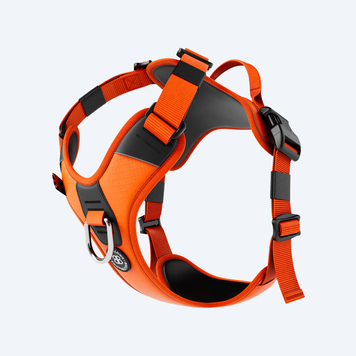 Шлея для собак BullyBillows Hurricane Harness Orange 7085 фото