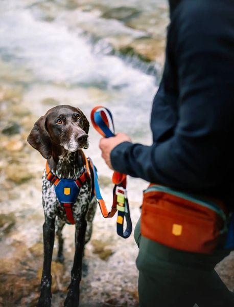 Поводок-перестёжка Woolly Wolf Roam Adjustable Leash Terracotta Mix