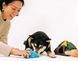Игрушка для собак Camp Corbin - Tent Pet Play 12258 фото 4