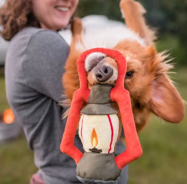 Іграшка для собак Camp Corbin - Lantern Pet Play 12263 фото