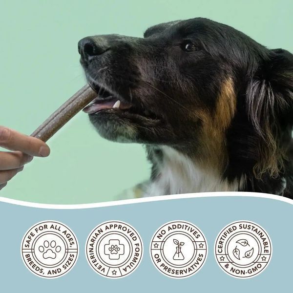 Веганское гипоаллергенное лакомство для чистки зубов Natural Dog Company Dental Treats 11691 фото