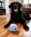 Надміцна іграшка для собак Maogoublue Dog Puzzle, 85 мм A1028 фото 5