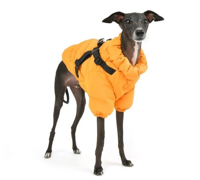 Курточка теплая для собак Soft Jumper PAUD-JM1676 Puppia (Orange) 11875 фото