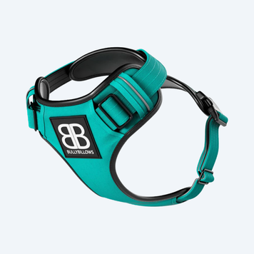 Шлейка для собак BullyBillows Premium Dog Harness v2.0 Turquoise 9053 фото
