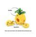 Іграшка для собак Tropical Paradise - Pineapple Pet Play 12277 фото 2