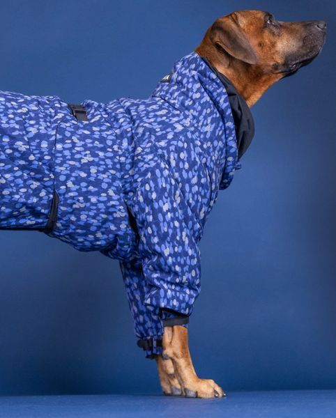 Комбінезон для собак PAIKKA Winter Suit Blue
