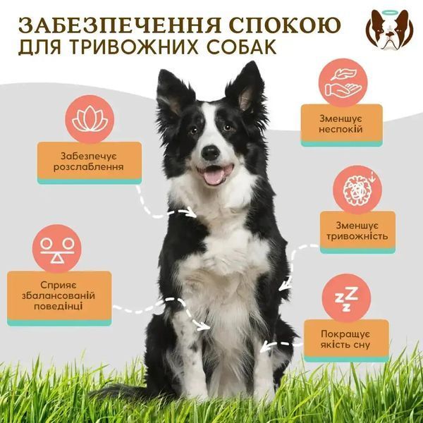 Заспокійливі вітаміни для собак Natural Dog Company Calming Supplement, 90шт 11700 фото