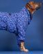 Комбінезон для собак PAIKKA Winter Suit Blue