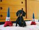 Игрушка для собак Totally Touristy - Eiffel Tower Pet Play 12464 фото 6