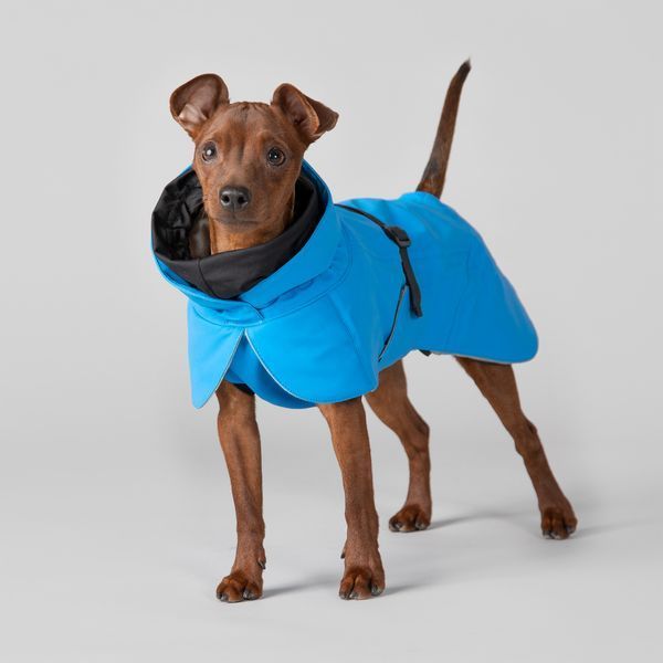 Тёплая попона для собак Paikka Winter Jacket Indigo