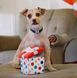 Іграшка для собак Party Time Collection - Party Present Pet Play 12471 фото 3