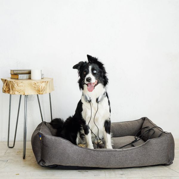 Леженка Dreamer Gray - Noble Pet 14208 фото