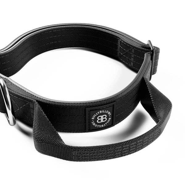 Нашийник для собак BullyBillows 2.5cm Combat v2.0 (XS&ndash;M, 34&ndash;46 см) 9057 фото
