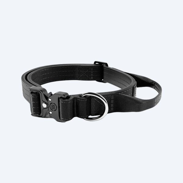 Нашийник для собак BullyBillows 2.5cm Combat v2.0 (XS&ndash;M, 34&ndash;46 см) 9057 фото