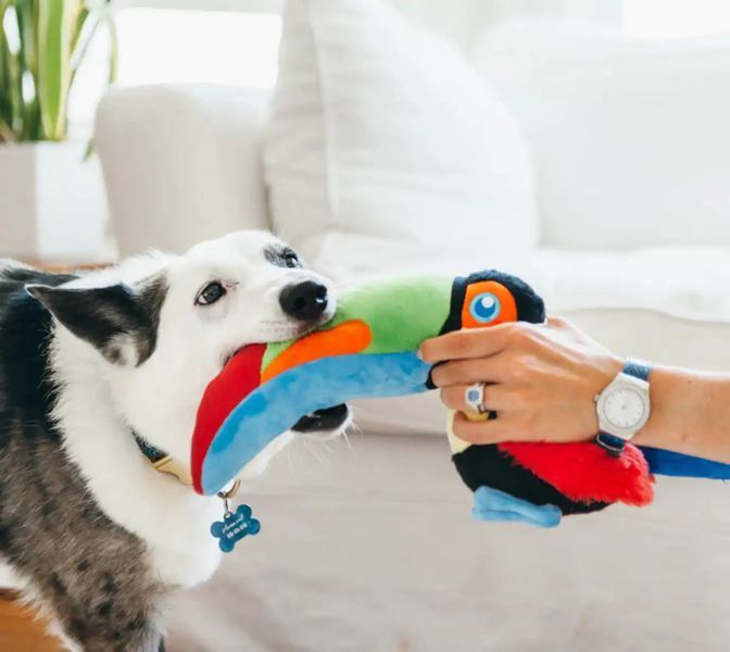 Игрушка для собак Fetching Flock Collection - Toucan Pet Play 12292 фото